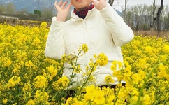 羞羞漫画登录页面免费漫画在线登录秋蝉